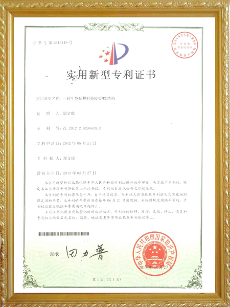 一种生物质燃料锅炉炉...