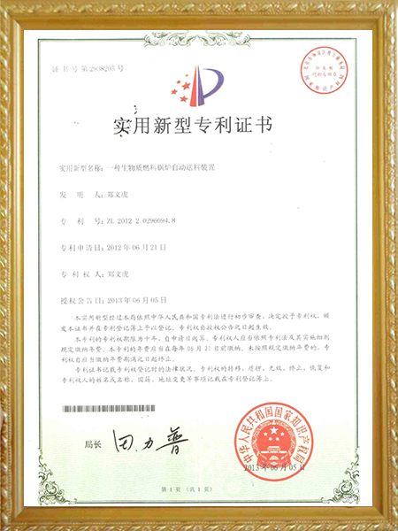 一种生物质燃料锅炉自...